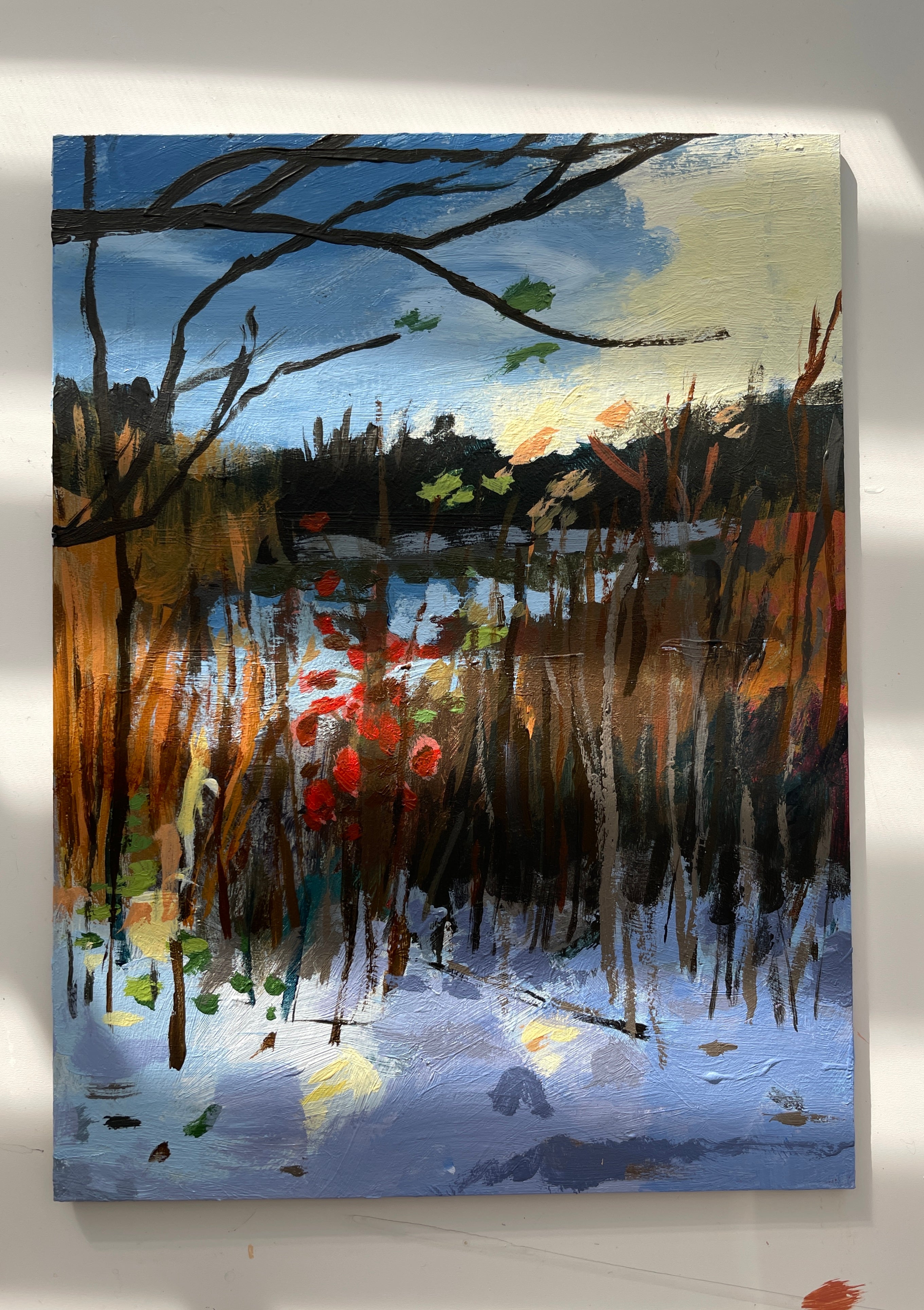 Snow pond