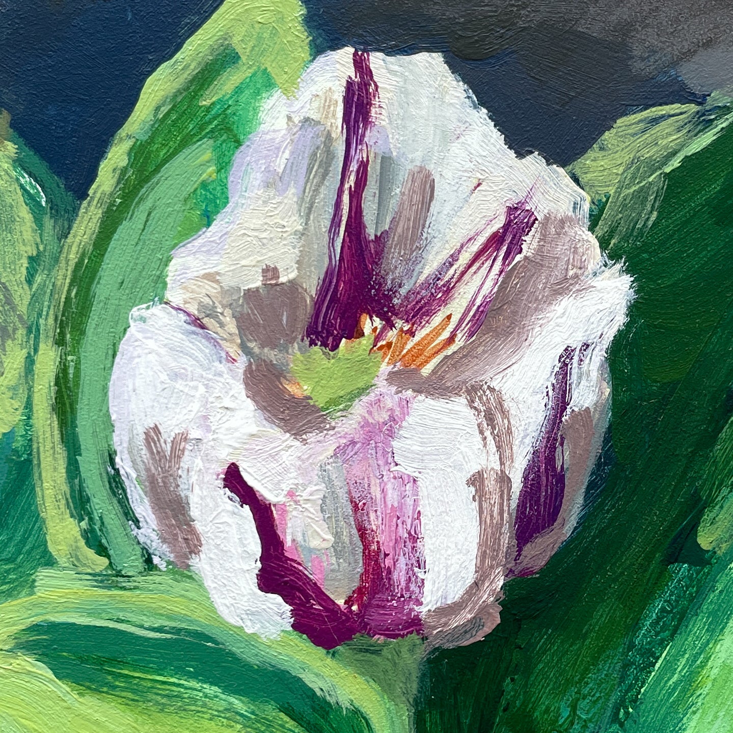 Tulip no.2 – Sara Parker