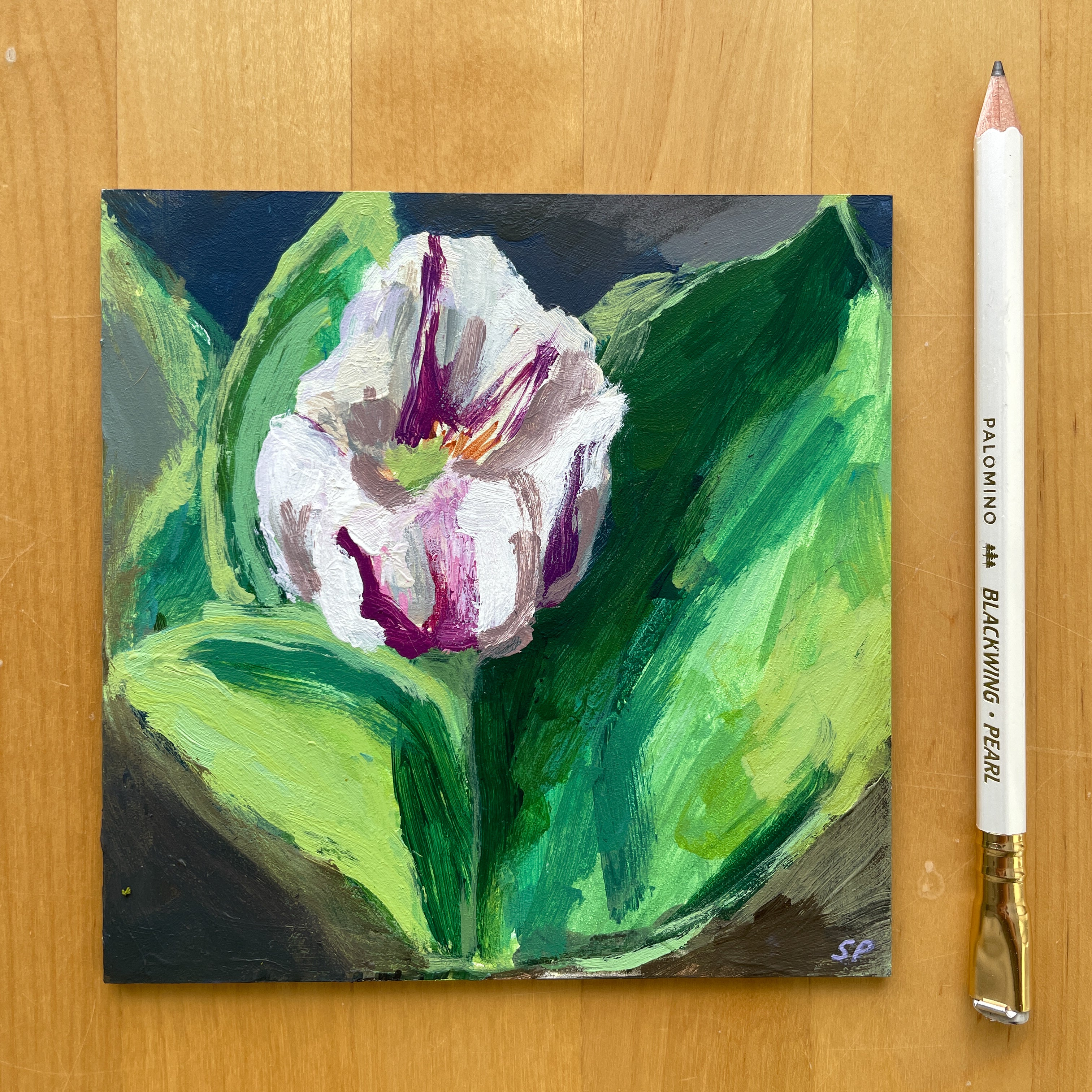Tulip no.2 – Sara Parker